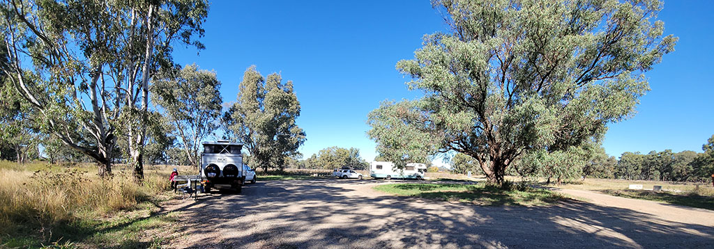Road Kill Campground Forbes