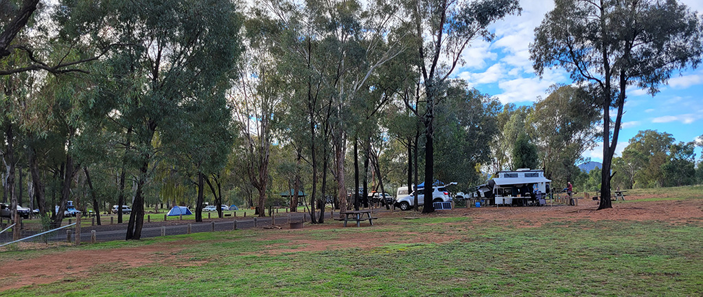 Camp Blackman: Warrumbungle National Park