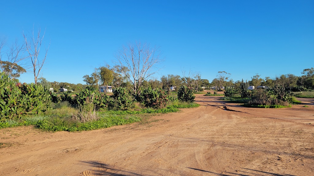 Lorne Station Caravan Park near Lightning Ridge