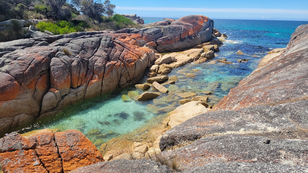 Orange lichen on rocks at Bay of Fires, Tasmania.