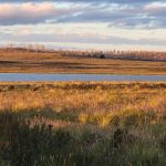 Central Highlands Tasmania A serene sunset glow over a remote lake in the Tasmanian Central Highlands, with golden light illuminating the alpine grasses and reflecting on the calm water.