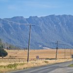 The rugged peaks of Mt Roland viewed across a field of golden grass near Sheffield, Tasmania.