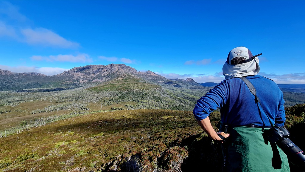 A hiker viewed from behind, looking out over a vast, sun-drenched alpine landscape on the Overland Track, capturing a rare clear day in Tasmania's wilderness.