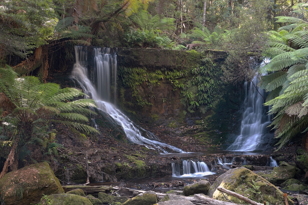 A lush, green view of Horseshoe Falls in Mount Field National Park, Tasmania, framed by ancient tree ferns and moss-covered rainforest vegetation.
