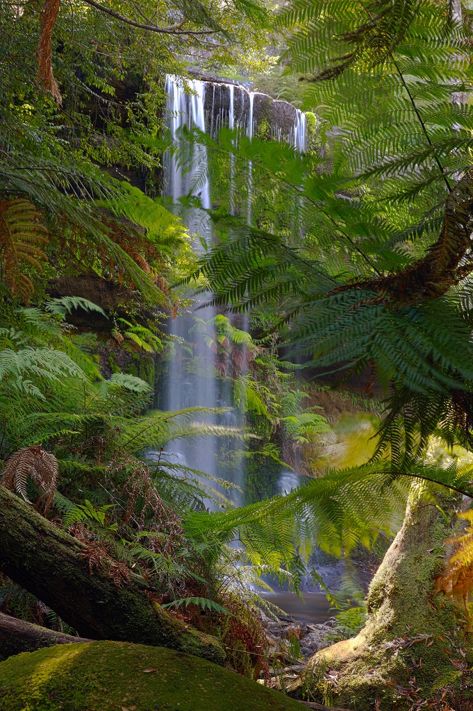 A lush, vertical view of Lower Russell Falls in Mount Field National Park, Tasmania, where water cascades over a mossy rock ledge framed by vibrant green tree ferns and ancient rainforest canopy.