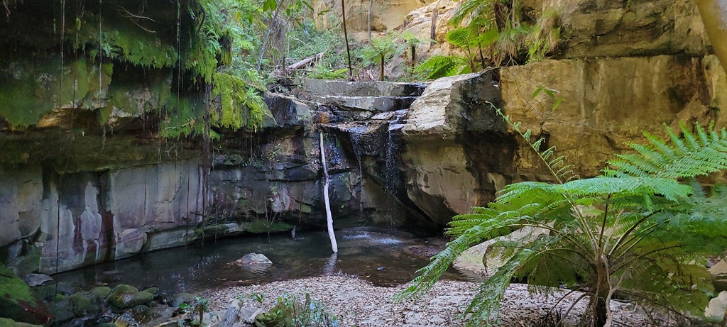 Moss Garden waterfall and rock pool in Carnarvon Gorge National Park Queensland featuring lush green ferns and sandstone cliffs.
