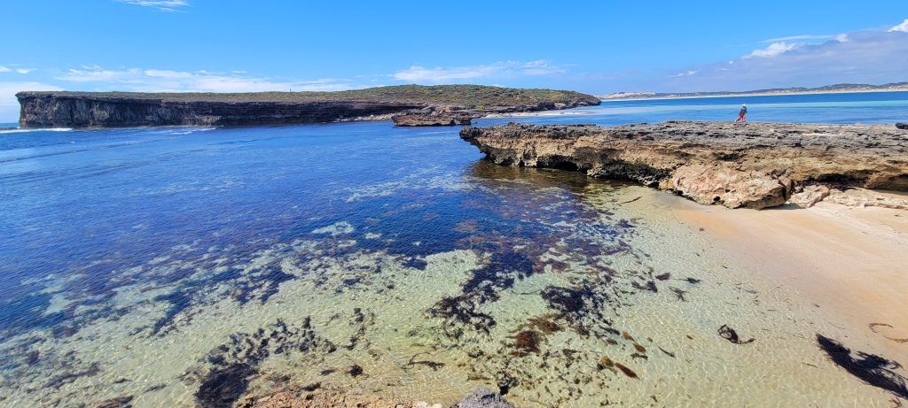 A wide-angle view of Pondalowie Bay Lookout on a Yorke Peninsula road trip, showcasing crystal-clear turquoise water, rugged limestone rock formations, and a distant headland under a bright blue sky.