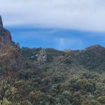 A panoramic view of the rugged volcanic landscape in Warrumbungle National Park, featuring the towering Belougery Spire on the left and the iconic, narrow Breadknife rock wall on the right, surrounded by dense eucalyptus forest under a blue sky.