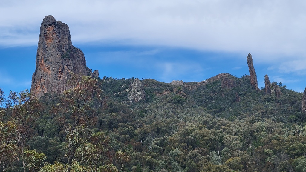 A panoramic view of the rugged volcanic landscape in Warrumbungle National Park, featuring the towering Belougery Spire on the left and the iconic, narrow Breadknife rock wall on the right, surrounded by dense eucalyptus forest under a blue sky.