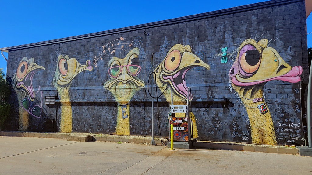 A large, quirky outdoor mural in Lightning Ridge featuring five stylized, expressive emu heads painted on a black brick wall at a local service station.