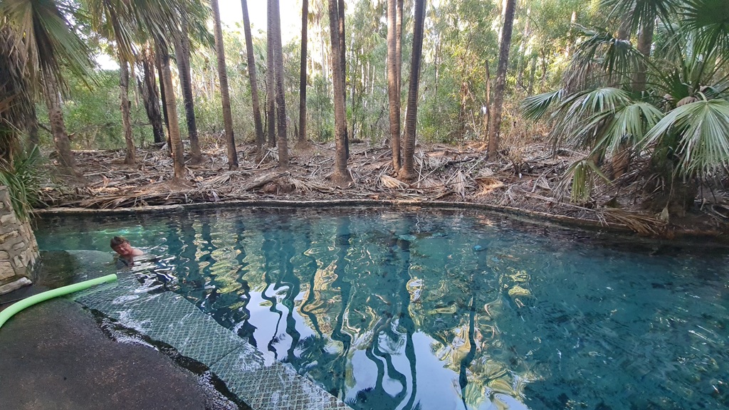Swimming in the crystal clear turquoise water of Mataranka Hot springs, a natural thermal pool perfect for washing off the dust and relaxing muscles after driving the Savannah Way.