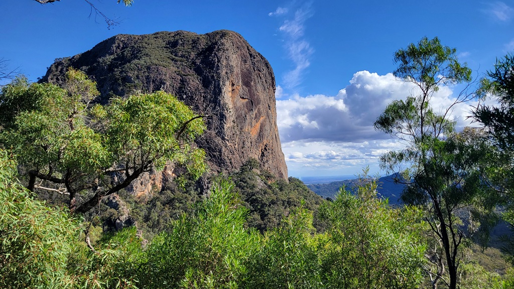 A massive, sheer volcanic rock formation rising above the forest in Warrumbungle National Park, a spectacular detour destination just off the Newell Highway.