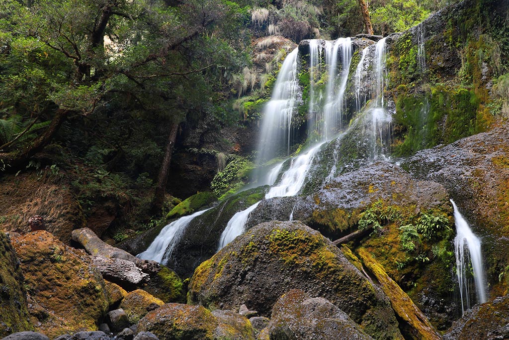 Long exposure photo of Champagne Falls in Tasmania showing water cascading down a steep mossy rock wall over large boulders in a temperate rainforest near Moina.