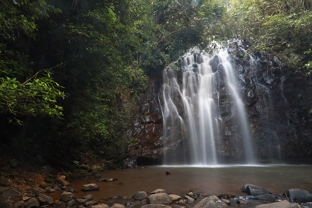 Ellinjaa Falls in the Atherton Tablelands, featuring water cascading over dark basalt columns into a shallow pool, surrounded by thick tropical rainforest with sunlight filtering through the canopy.