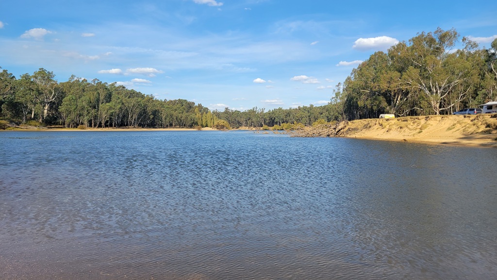 A wide view of the river bending past a sandy bank lined with gum trees and high campsites at Forges Beach Campground during a Murray River road trip.