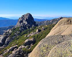 Great Alpine Road