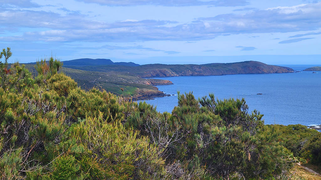 Coastal heath and native vegetation looking out over the blue waters and rugged coastline of the Labillardiere Circuit on Bruny Island, Tasmania.
