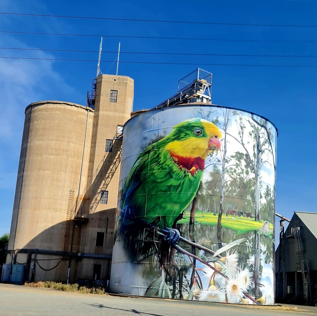 The towering painted grain silos at Picola, Victoria, featuring detailed wildlife artwork of a native parrot during a Murray River road trip.