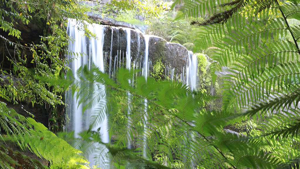 Russell Falls in Mt Field National Park on the route of a 28-day Tasmania Road Trip.