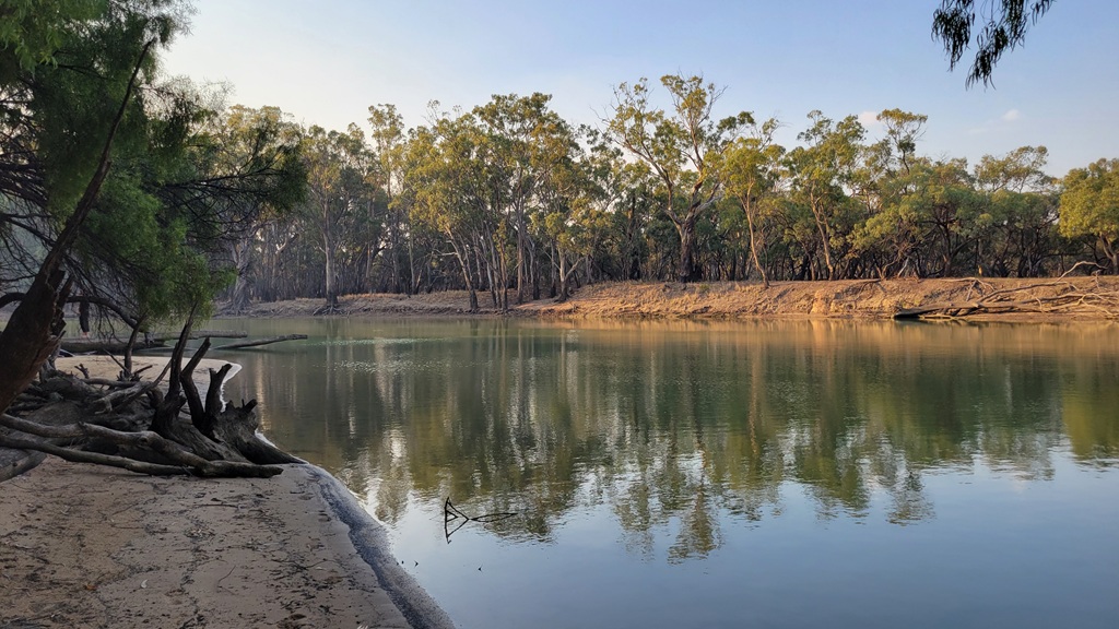 Golden afternoon light reflecting tall gum trees on the calm water surface next to a sandy riverbank at Sims Campground on a Murray River road trip.