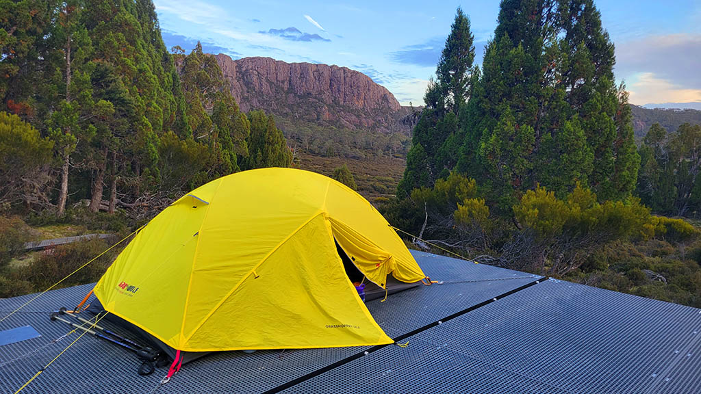 A bright yellow tent pitched on a raised timber and mesh camping platform at Dixons Kingdom campground, surrounded by ancient pencil pine trees and rugged dolerite peaks in the Walls of Jerusalem National Park, Tasmania.