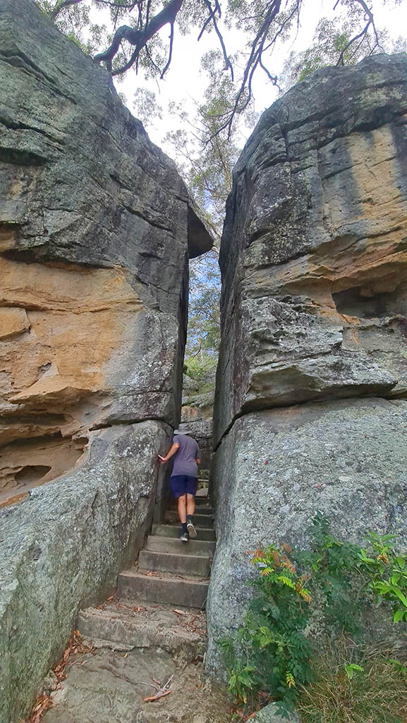 Hiker walking up stone steps squeezed between towering sandstone rock formations along Ben's Walk track in Nowra.