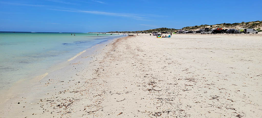 Expansive white sandy beach at Wauraltee Beach on the Yorke Peninsula, featuring calm turquoise waters, coastal dunes and a clear blue sky.