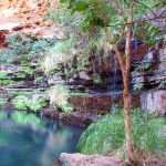 Deep tranquil gorge pool framed by layered red rock cliffs on the Perth to Karijini and Millstream road trip