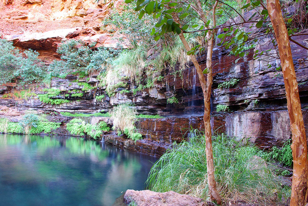 Deep tranquil gorge pool framed by layered red rock cliffs on the Perth to Karijini and Millstream road trip