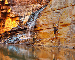 Pilbara - Coral Coast Loop